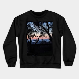 Just a Dream Crewneck Sweatshirt